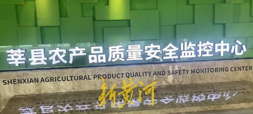 高瞰山東打卡聊城 莘縣蔬菜瓜果安全無憂，網(wǎng)絡(luò)安全軟件開發(fā)保障數(shù)字生活