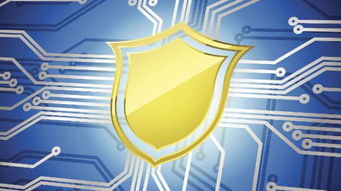 2019年蒼南縣網絡安全宣傳周啟動 聚焦網絡安全軟件開發，活動精彩不容錯過